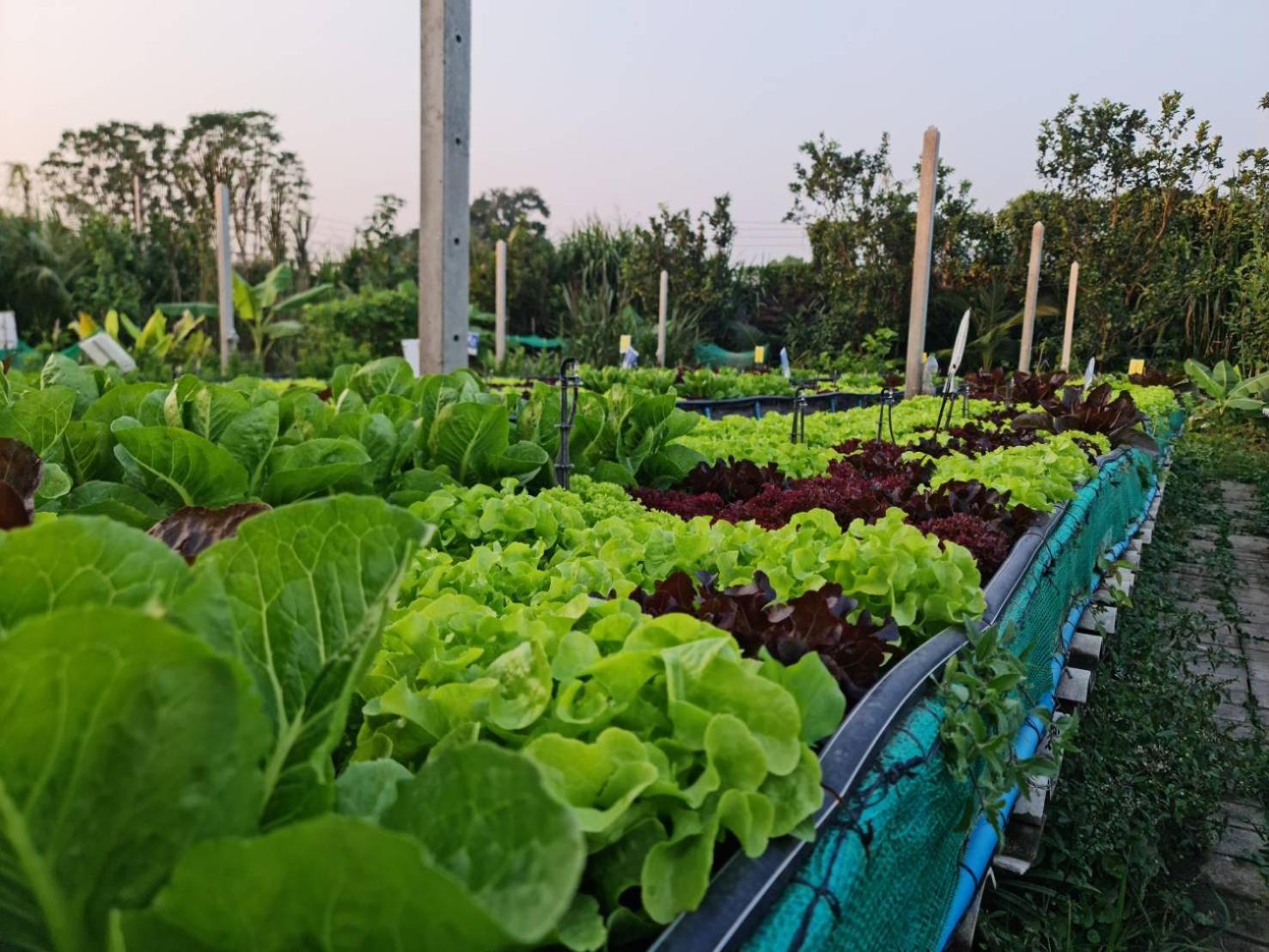 Kanchanaburi City Hotel Kültér fotó